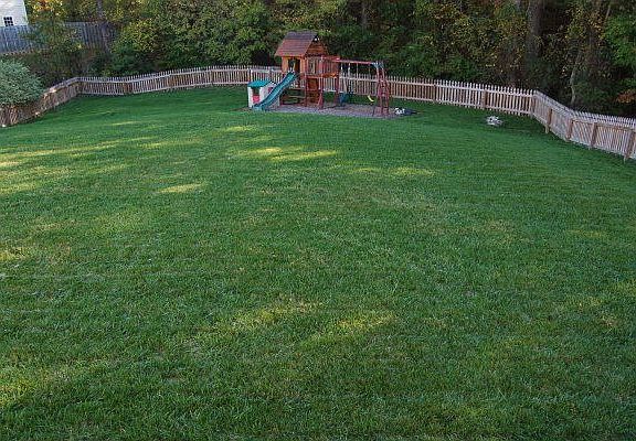 Huge yard with wood behind, and playset!