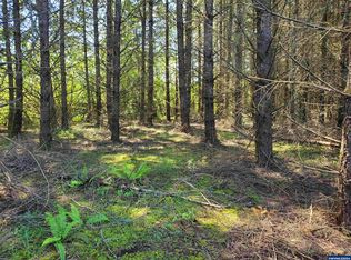 30200 Fairview Rd, Lebanon, OR 97355