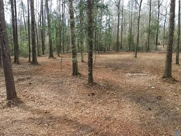 TRACT 2B Bryce Hyde Rd, Roseland, LA 70456
