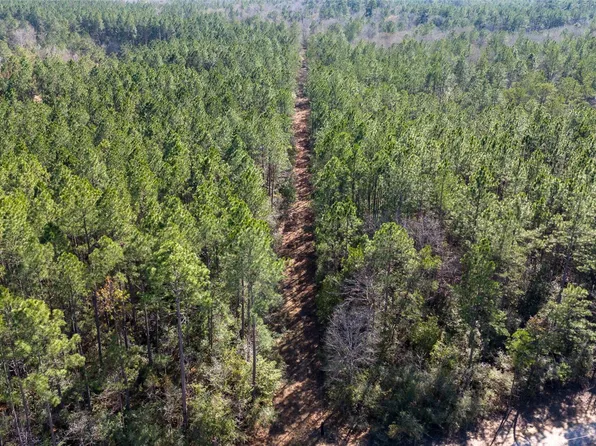 0 Whispering Pines Dr, Lumberton, TX 77657