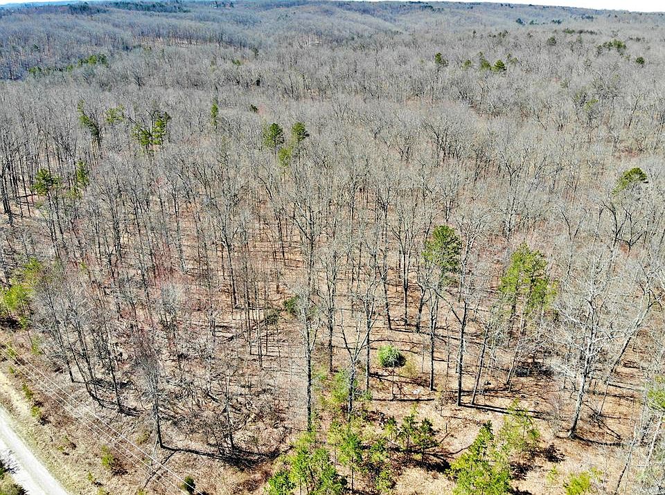 1st image of 268 Paradise Ln