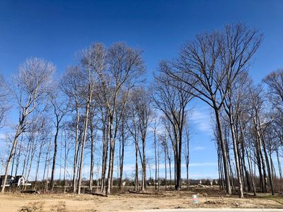 4331 Alderborough Way, Zionsville, IN, 46077