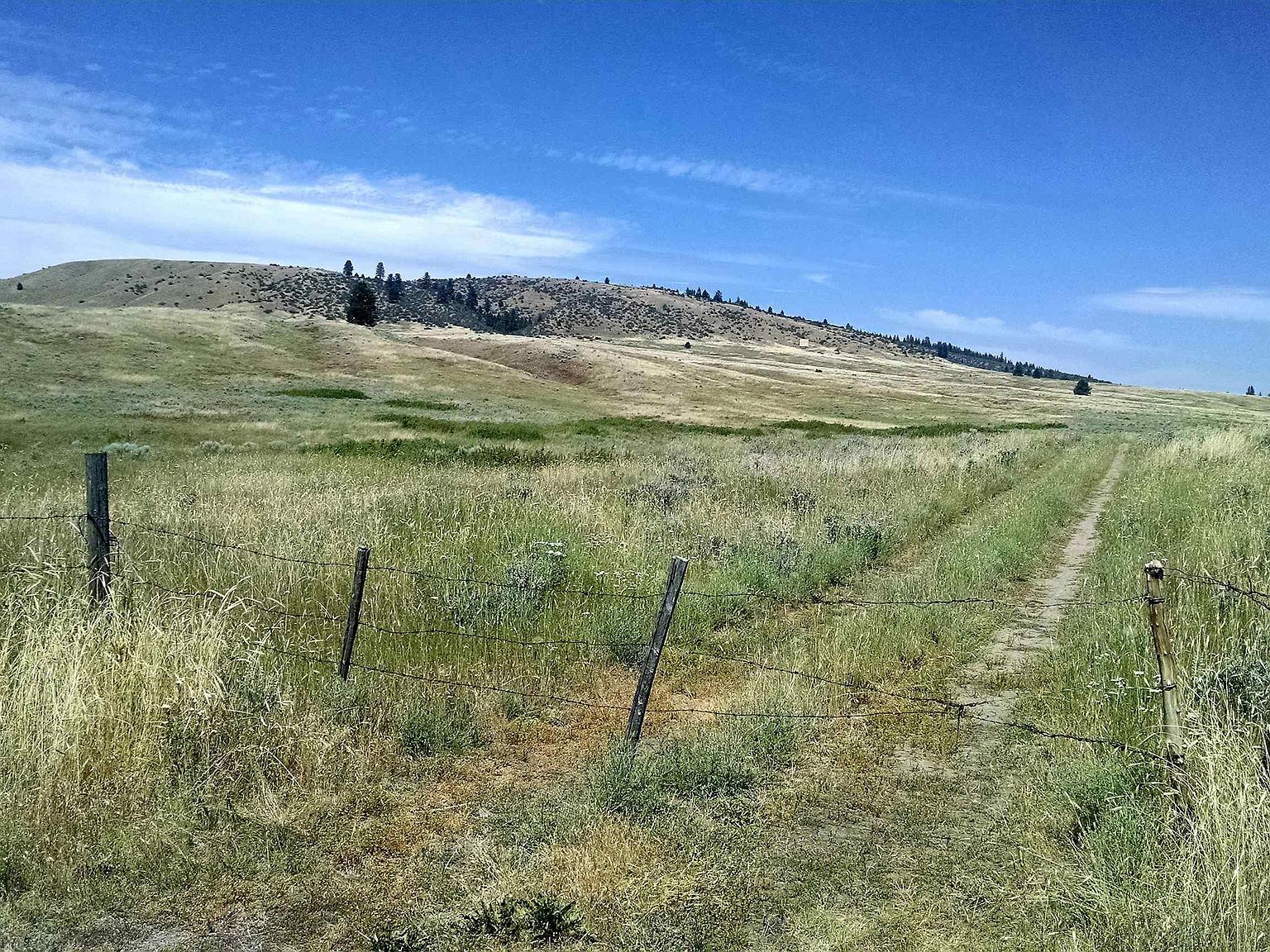 Schoolhouse Loop Rd, Nespelem, WA 99155 Zillow