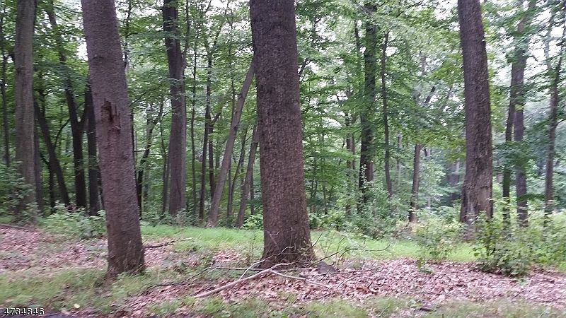 2nd image of 3 Beaver Brook Rd