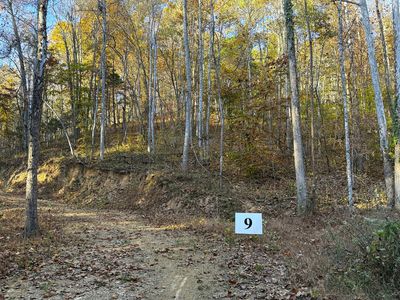 TRACT 9 Topaz Way, Parrottsville, TN, 37843