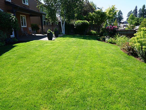 Back yard fenced