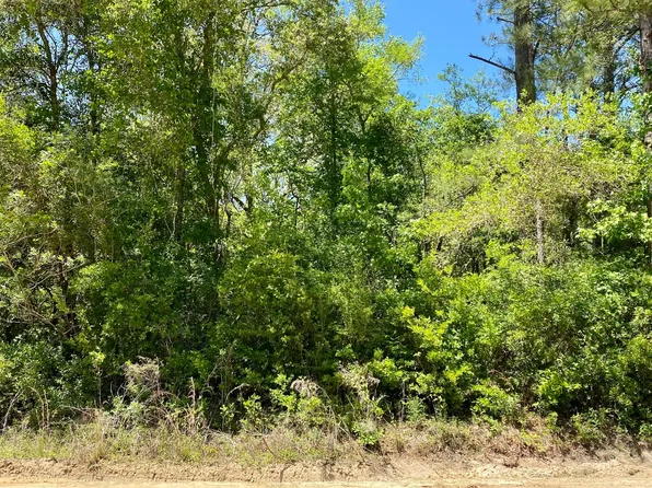 LOT 10 NW Sparrow Ln #10, Jennings, FL 32053