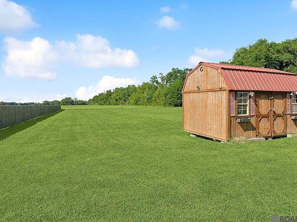 38052 N Robert Wilson Rd, Gonzales, LA 70737