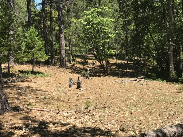 Phillips Rd, Oak Run, CA 96069