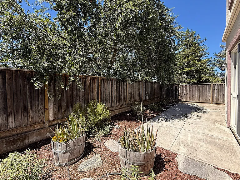 Fully Fenced Backyard with Low Maintenance Landscaping