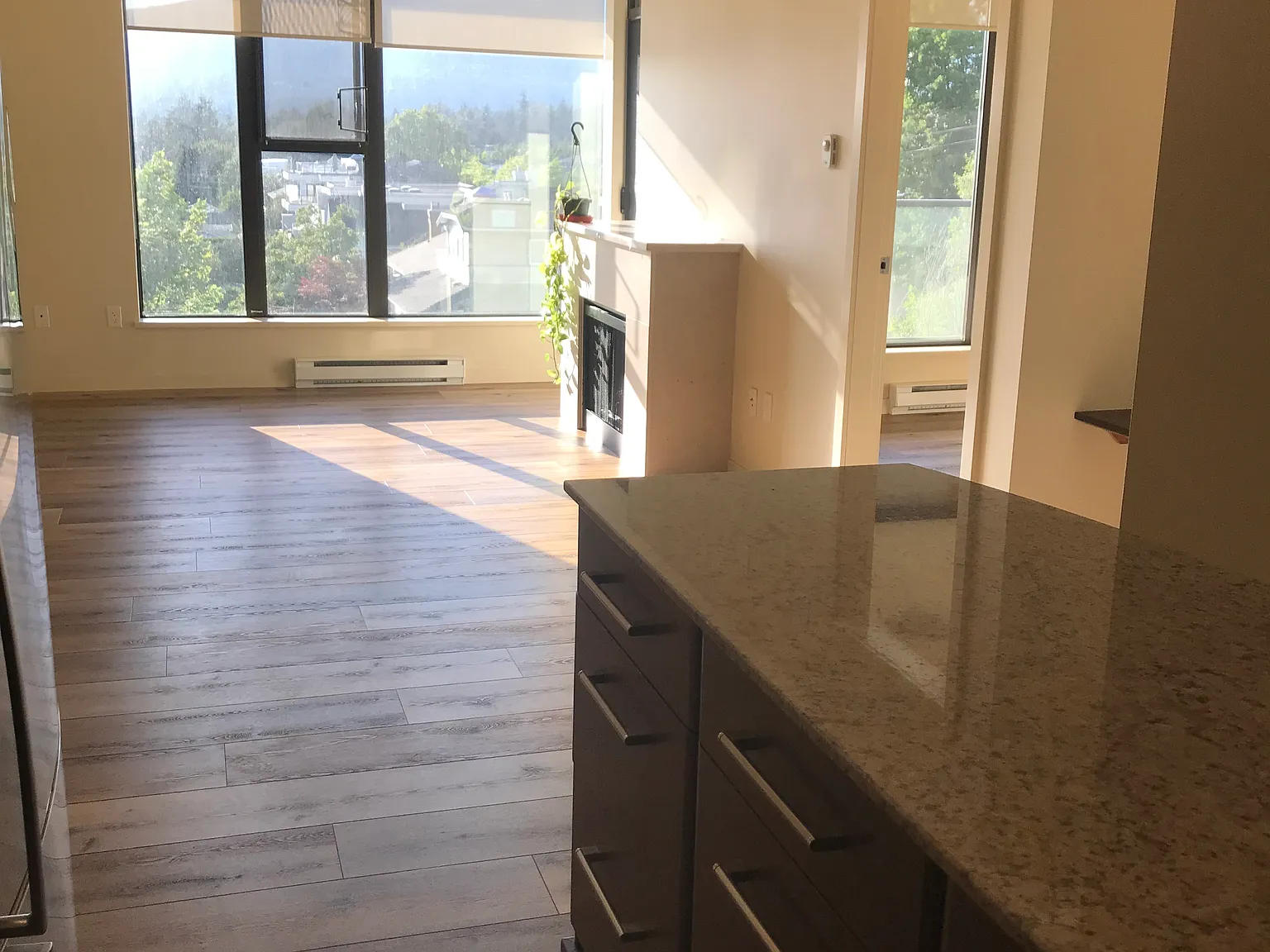 683 W Victoria Park — Photo 4