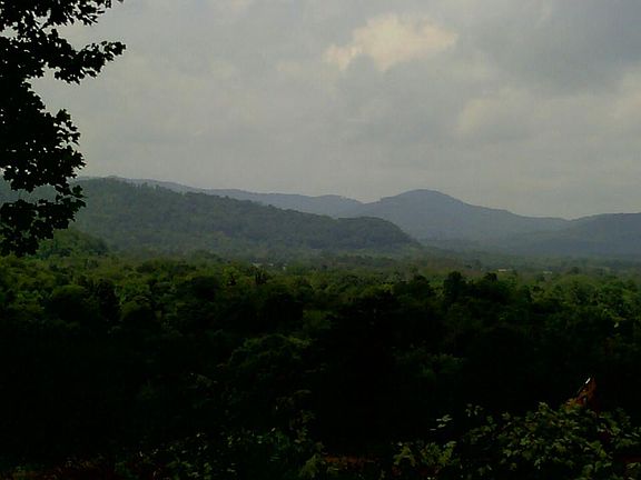 Potential homesite views 