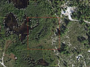 Holopaw Groves Rd, Saint cloud, FL 34773