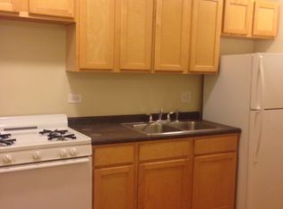 466 W Winneconna Pkwy #1, Chicago, IL 60620