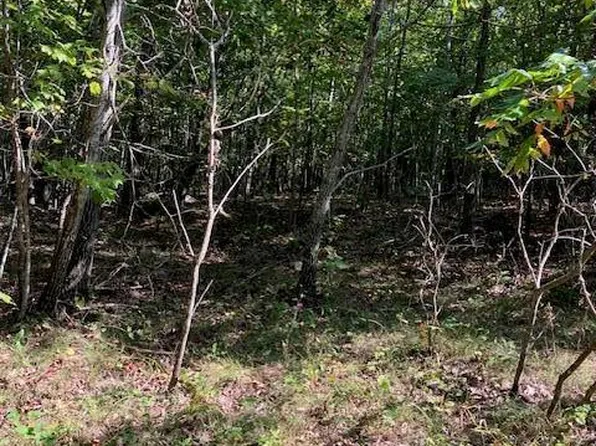 5 Church Rd, Annapolis, MO 63620