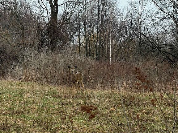 4th image of 350 Irish Settlement Rd