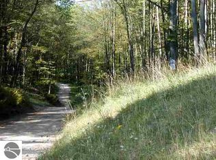 Walker Rd, Rapid City, MI 49676