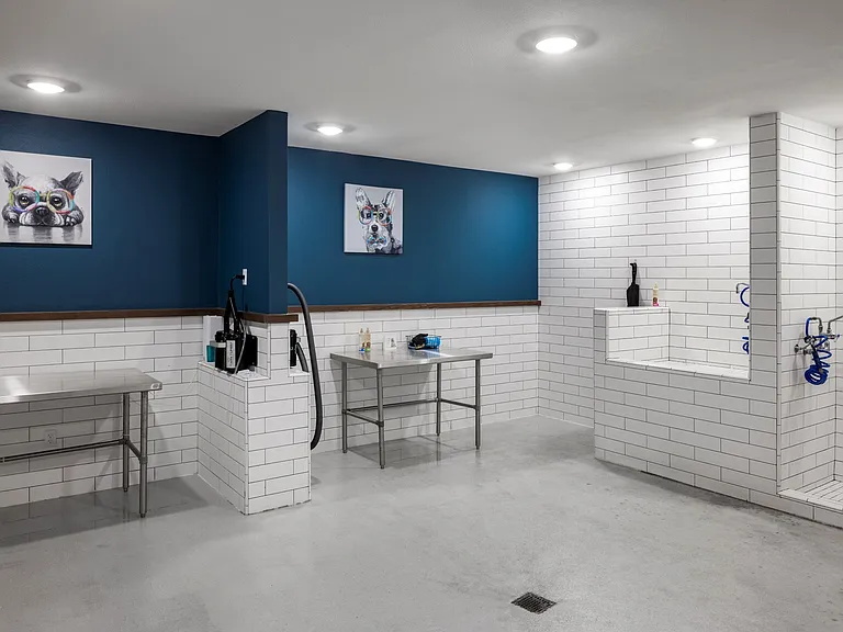 Lakeline_amenity_paw wash_LG-9