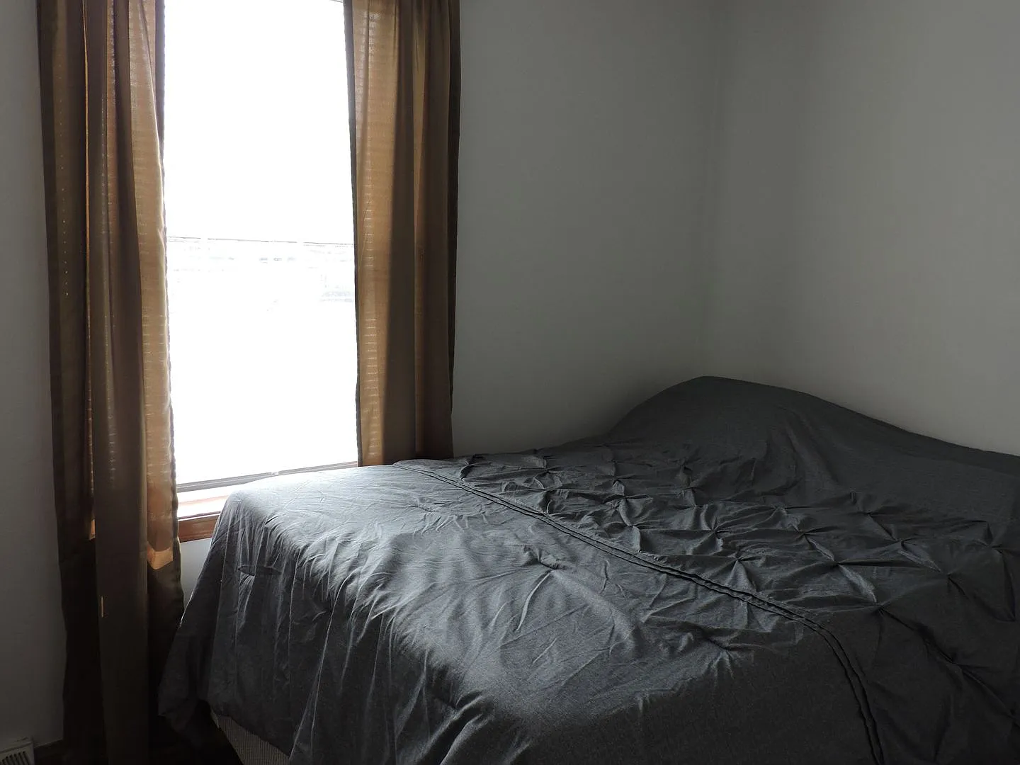 101 Ash Street — Photo 3