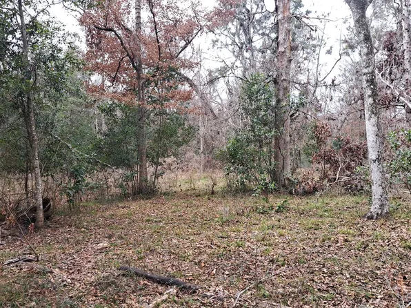 286th Ter, Branford, FL 32008