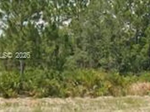 3011 W Dixon Rd, Avon Park, FL 33825