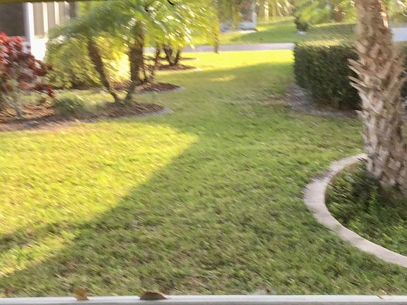 3rd image of 6249 Cardigan Cir #289