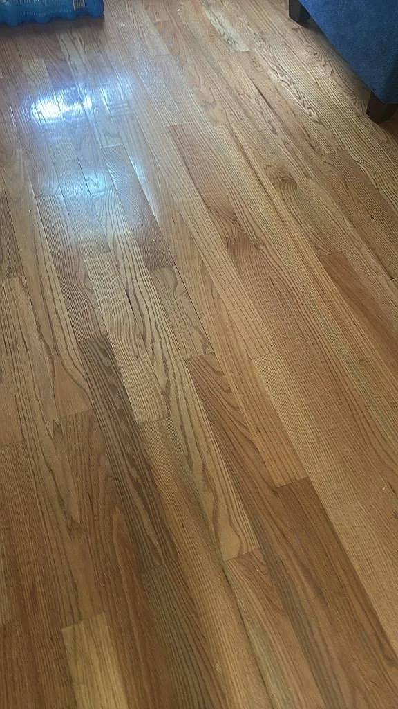 7 Greenville St #6 in Roxbury, MA 02119 — Photo 2