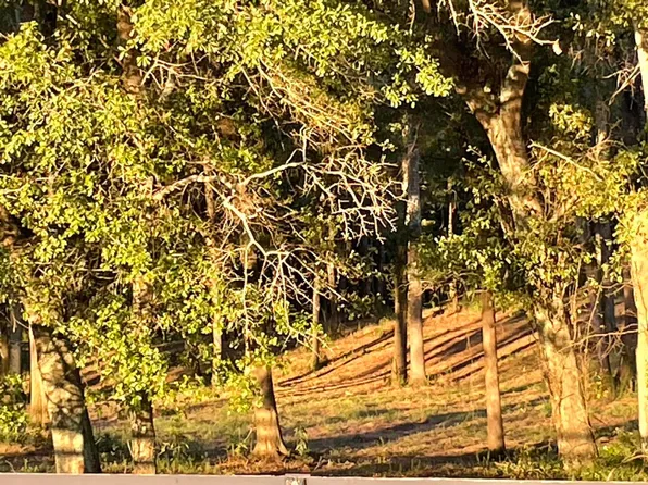 W/sd New Holland Rd, Aiken, SC 29801