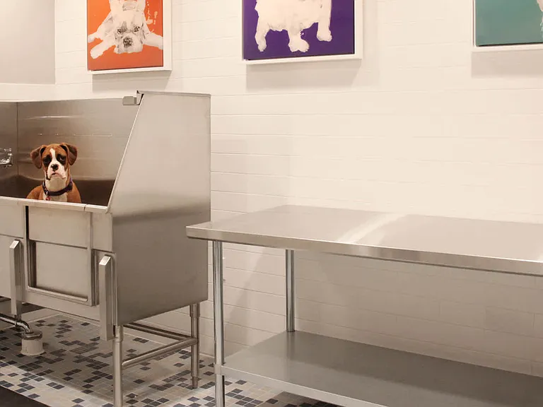 Pet Washing Station
