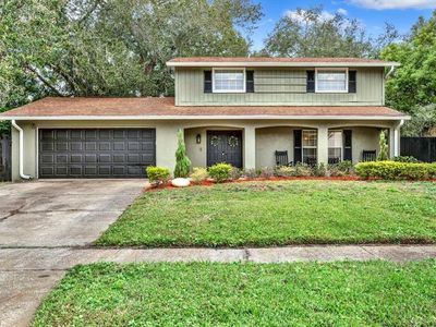4019 Braesgate Ln, Tampa, FL, 33624