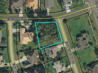 51 E Diamond Dr, Palm Coast, FL 32164