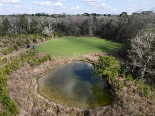 0 Neely Avera Rd, Neely, MS 39461