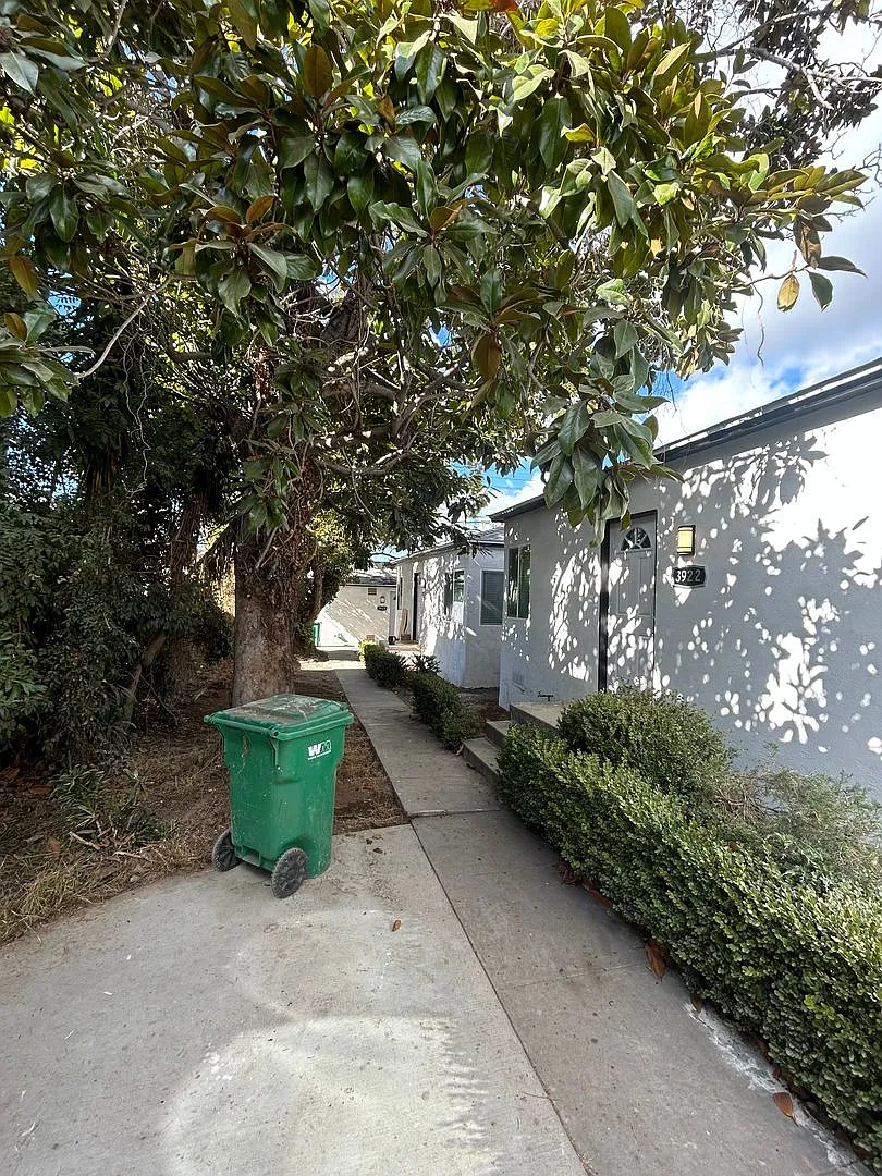 3924 — Photo 4