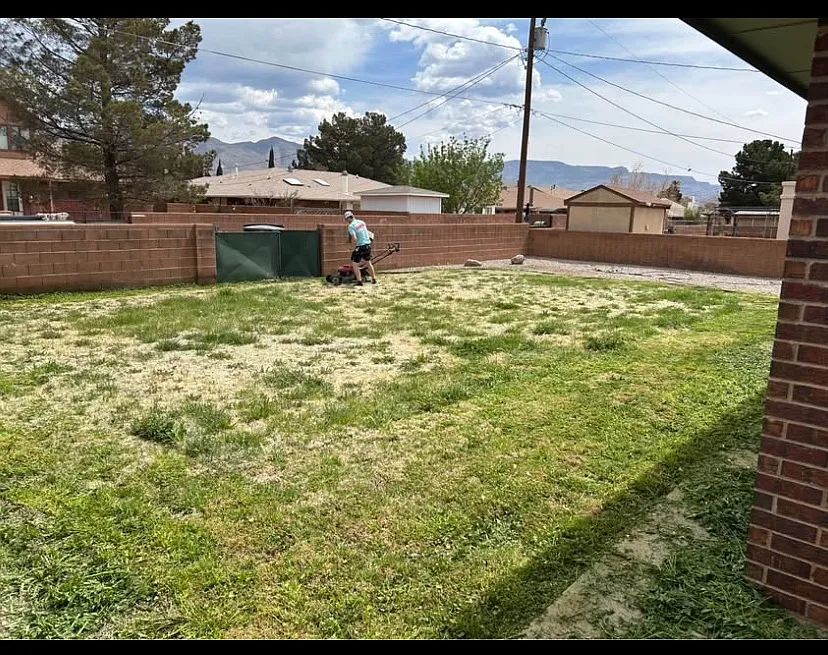 4 bed, 1550 sqft, $1,650 — Photo 3