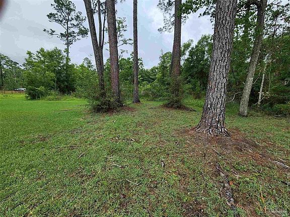 5th image of 9266 Lillian Hwy
