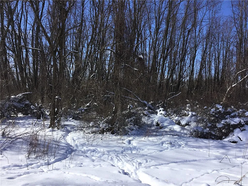 Creek Rd Lot 40 photo 1
