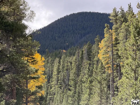 3417 No Site Address, Fort Garland, CO 81133