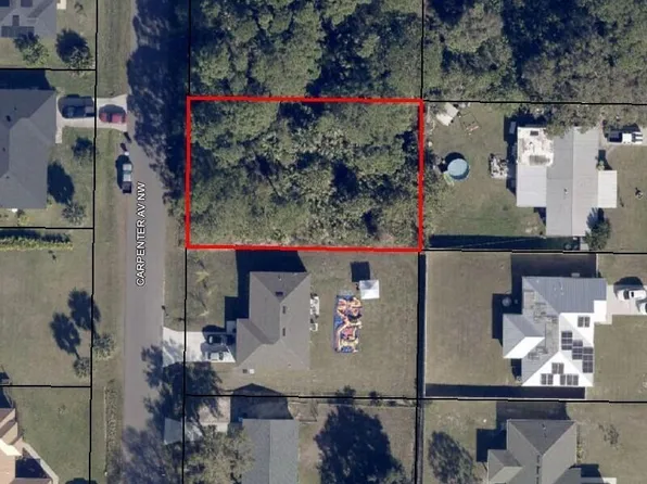 419 Carpenter Ave NW, Palm Bay, FL 32907