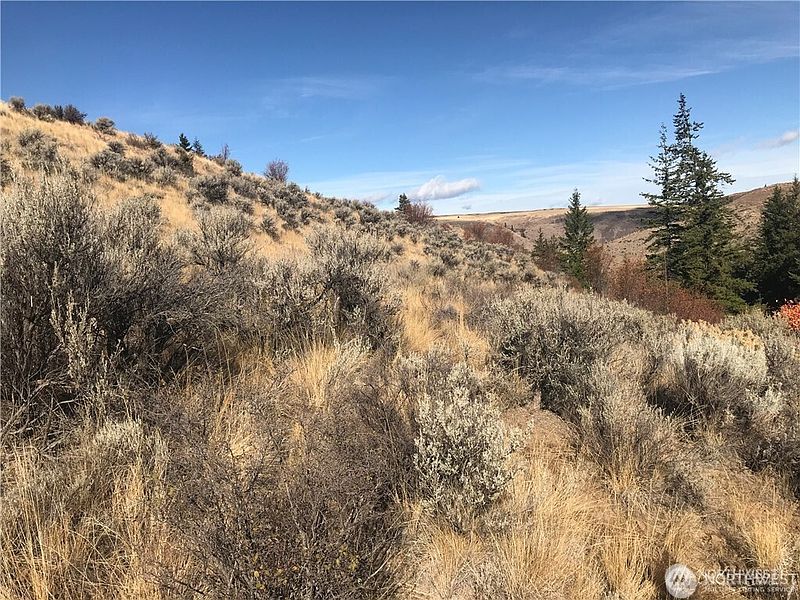 2nd image of 0 Goldfish Gulch Road