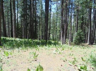 302 Boulder Dr, Clio, CA