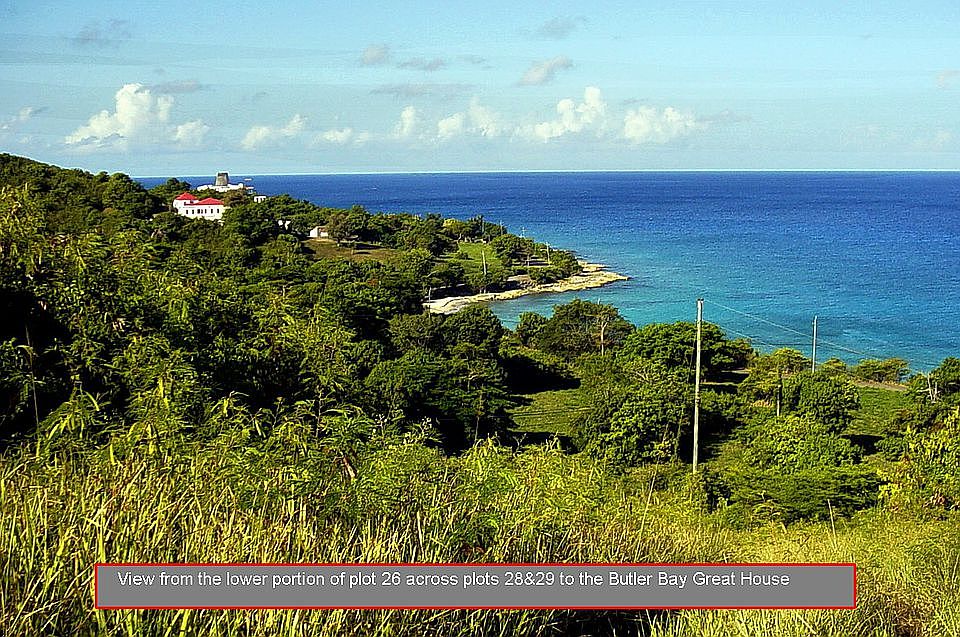 View from lower portion