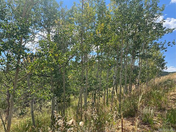 3rd image of 795 Russell Gulch Road