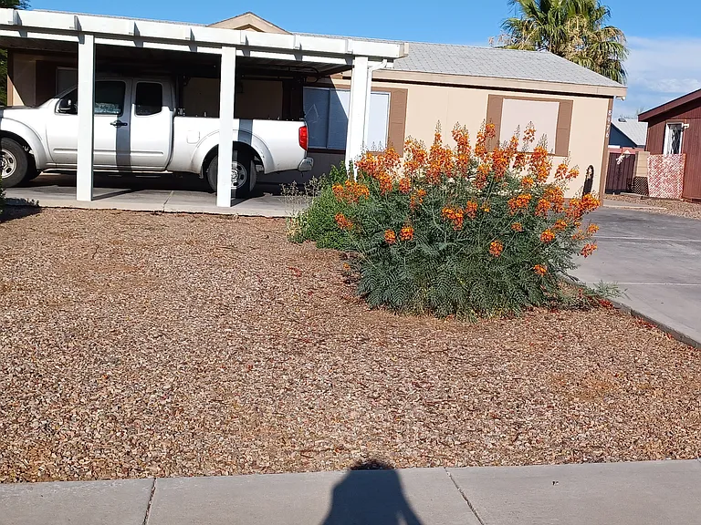 8976 N Odin Dr — Photo 1