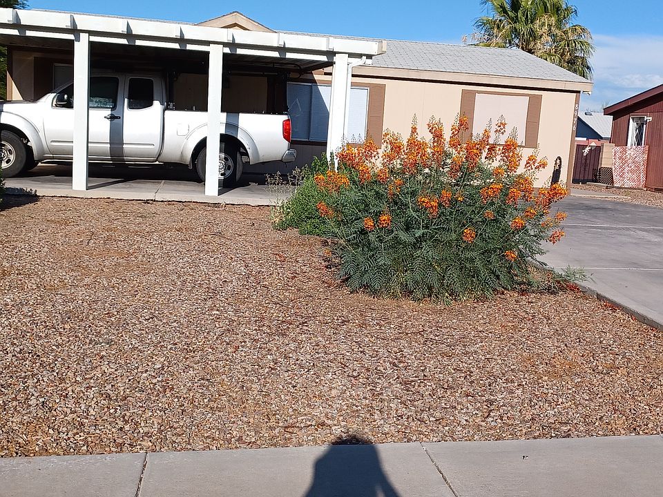 1st image of 8976 N Odin Dr