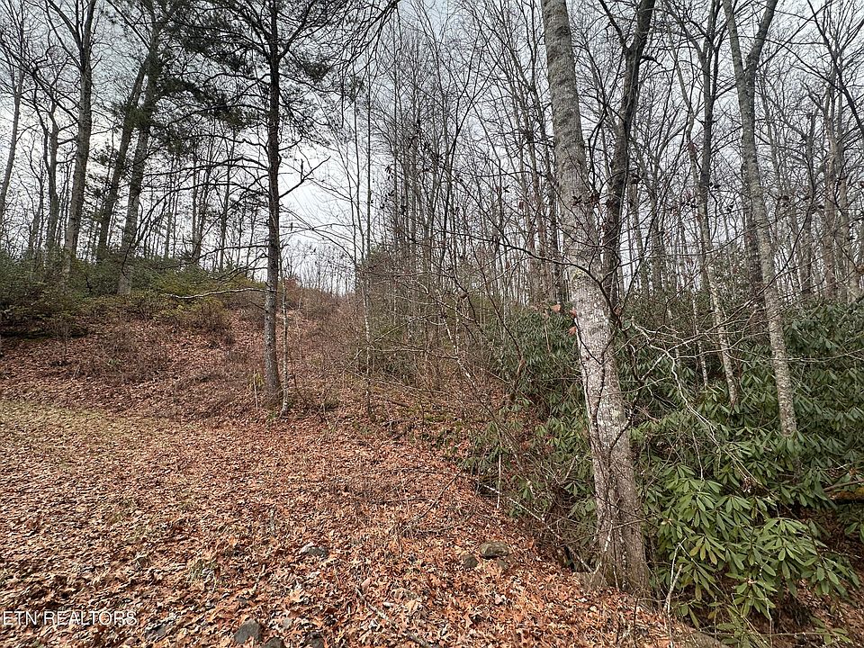 2nd image of S Of Franklin Rd
