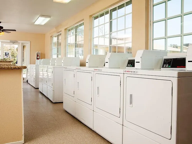 Country Village Senior Apartments - 55+ — Photo 13
