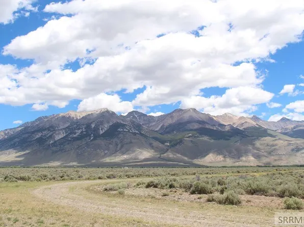 5865 W Remington Ridge Rd, Mackay, ID 83251