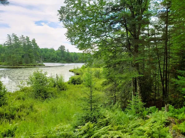 LOT 5 Blue Heron Rdg, Mercer, WI 54547