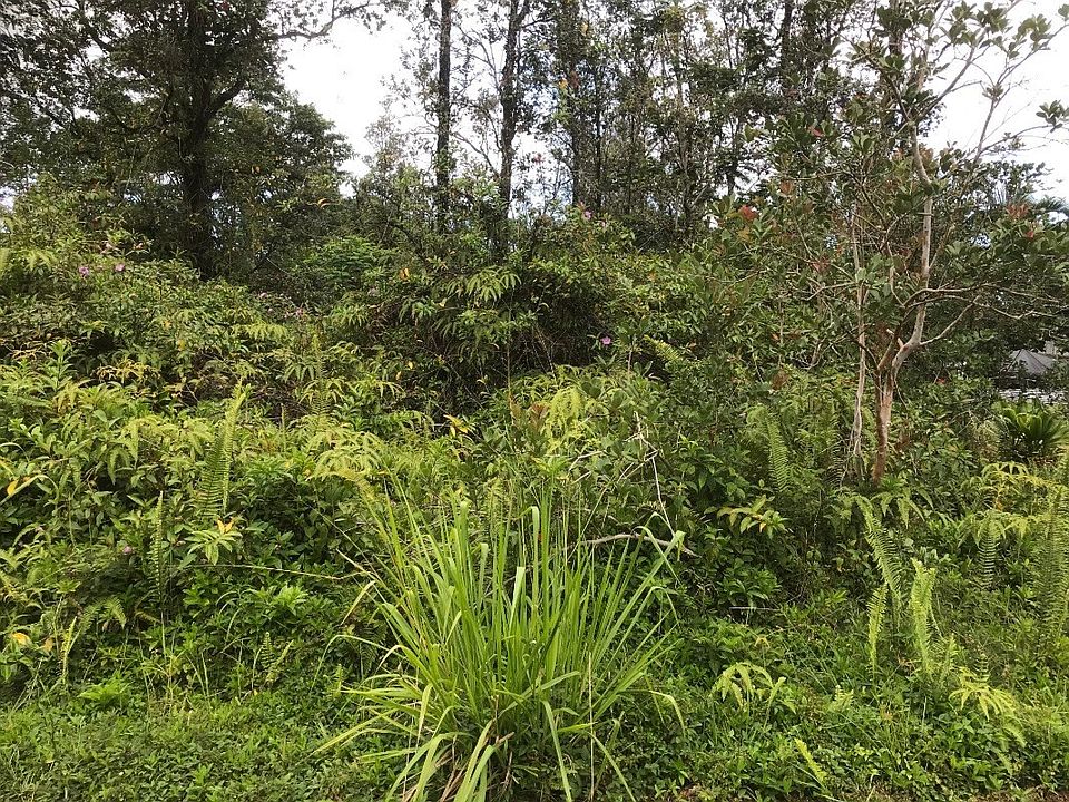 1st image of Ohia Dr Lot 9