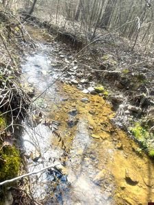 001-01670-000 Hopewell Hollow Rd, Norfork, AR, 72658